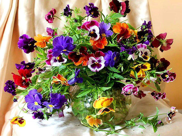Colorful Flowers and Vases PIX-43