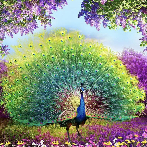 Peacock Wealth And Good Fortune PIX-45