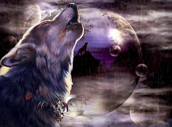 Howling Wolf PIX-161