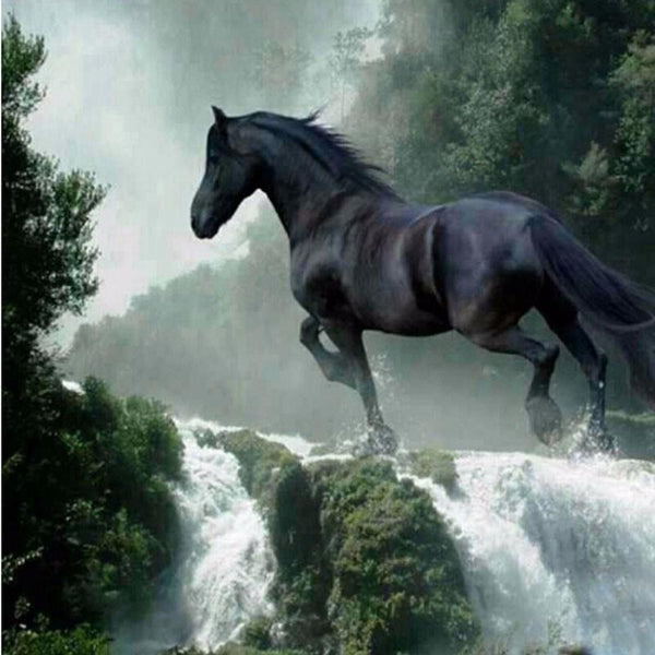 Horse Waterfall PIX-259