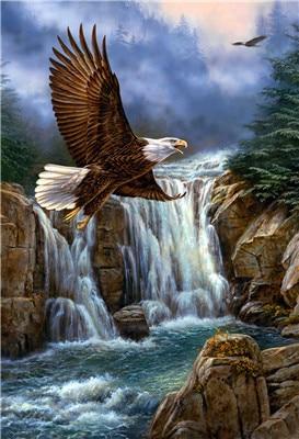 Landscape Eagle Fly Waterfall PIX-262