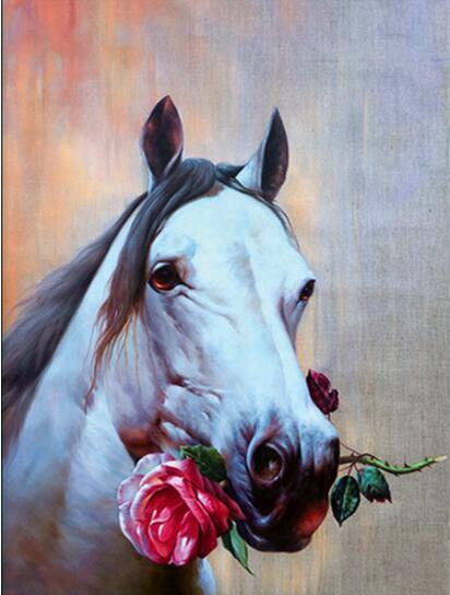 Horses Rose PIX-294