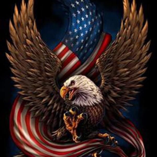 Eagle American Flag PIX-305