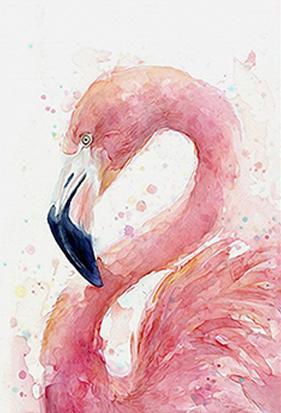Flamingo Picture II PIX-498