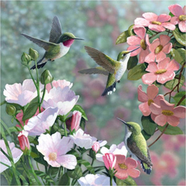 Hummingbirds Flowers PIX-519