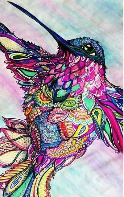 Hummingbird Colors PIX-522