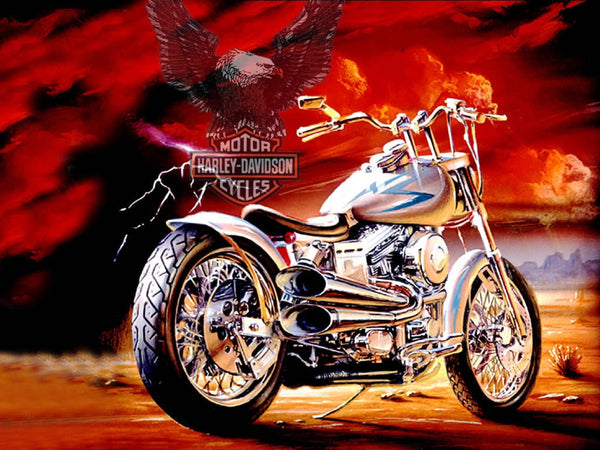 Harley Eagle Flight PIX-558