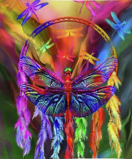 Rainbow Dragonfly PIX-599